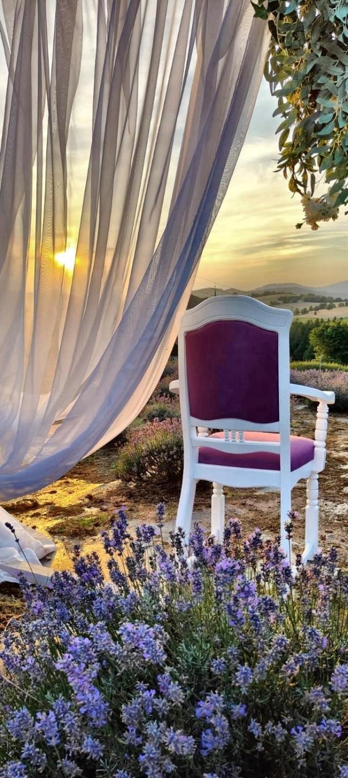 Dom Pod Lawendowym Polem Bed and Breakfast Woliborz Eksteriør billede